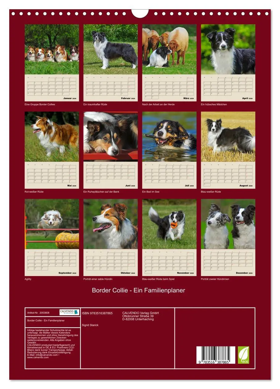 Bild: 9783516387865 | Border Collie - Ein Familienplaner (Wandkalender 2026 DIN A3 hoch),...