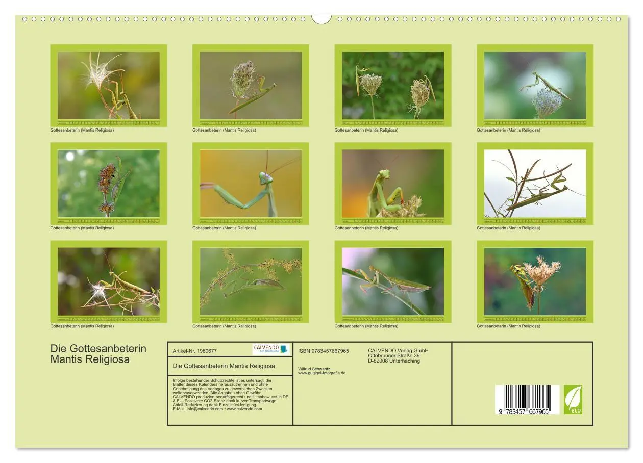 Bild: 9783457667965 | Die Gottesanbeterin Mantis Religiosa (hochwertiger Premium...