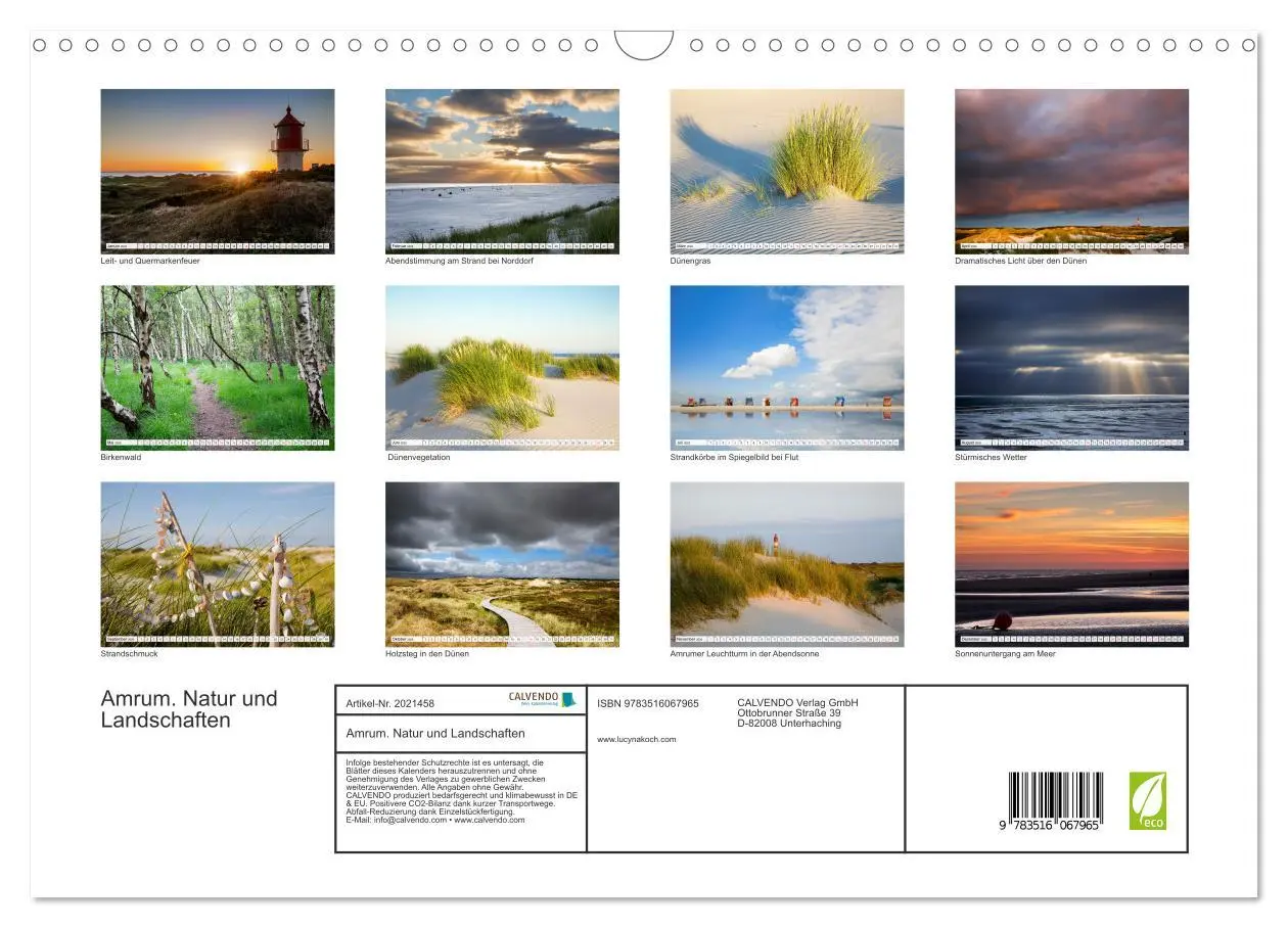 Bild: 9783516067965 | Amrum. Natur und Landschaften (Wandkalender 2026 DIN A3 quer),...