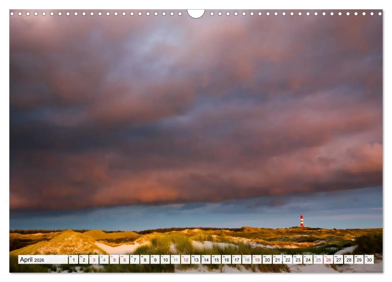 Bild: 9783516067965 | Amrum. Natur und Landschaften (Wandkalender 2026 DIN A3 quer),...