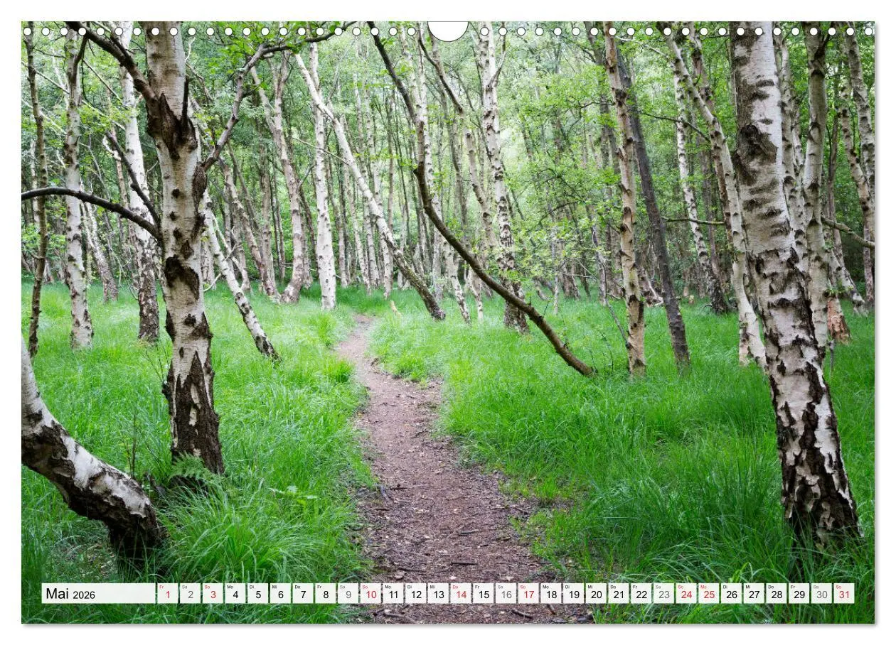 Bild: 9783516067965 | Amrum. Natur und Landschaften (Wandkalender 2026 DIN A3 quer),...