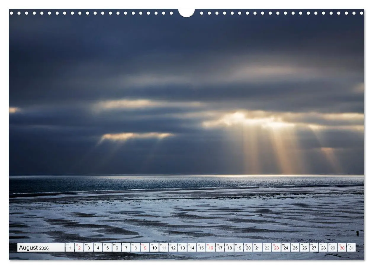 Bild: 9783516067965 | Amrum. Natur und Landschaften (Wandkalender 2026 DIN A3 quer),...