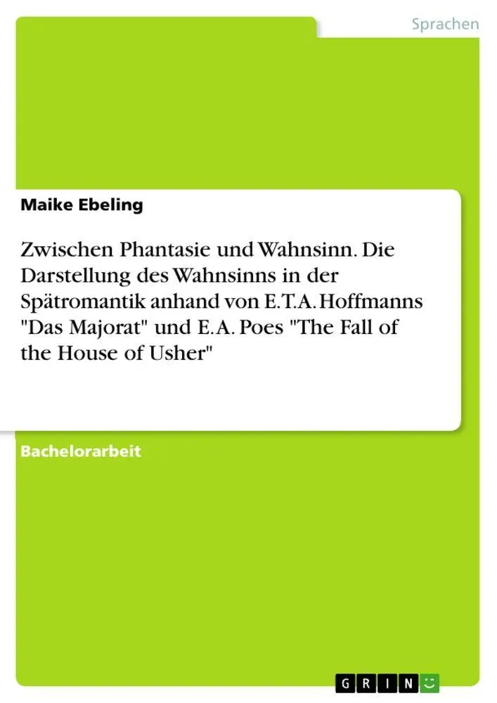 Cover: 9783346818065 | Zwischen Phantasie und Wahnsinn. Die Darstellung des Wahnsinns in...