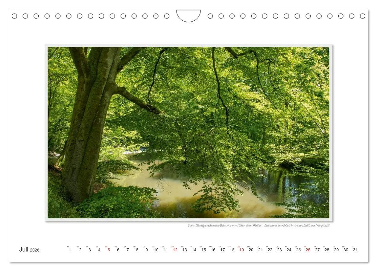 Bild: 9783516198065 | Emotionale Momente: Abtei Marienstatt im Westerwald (Wandkalender...