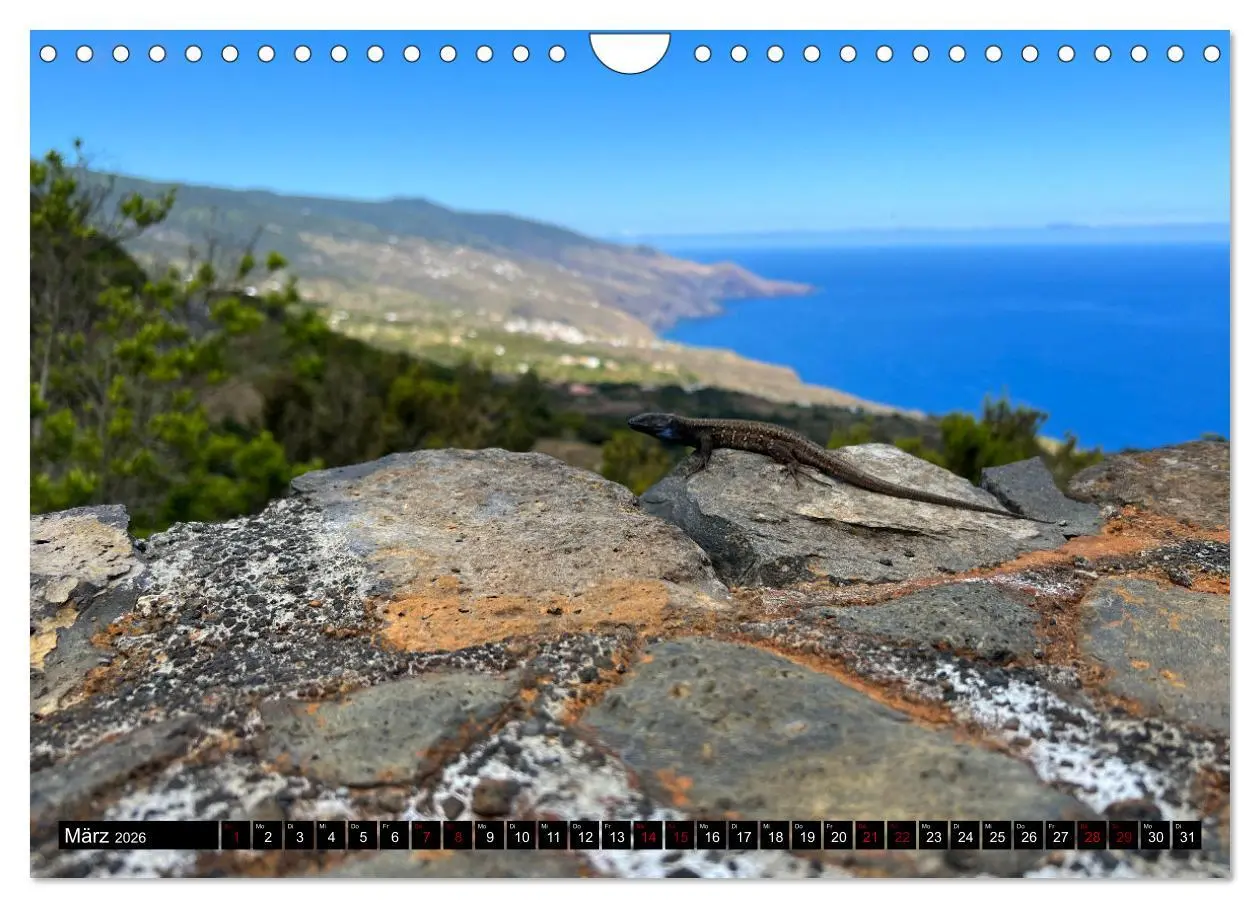 Bild: 9783457308165 | La Palma - Eine Reise über die La Isla Bonita (Wandkalender 2026...