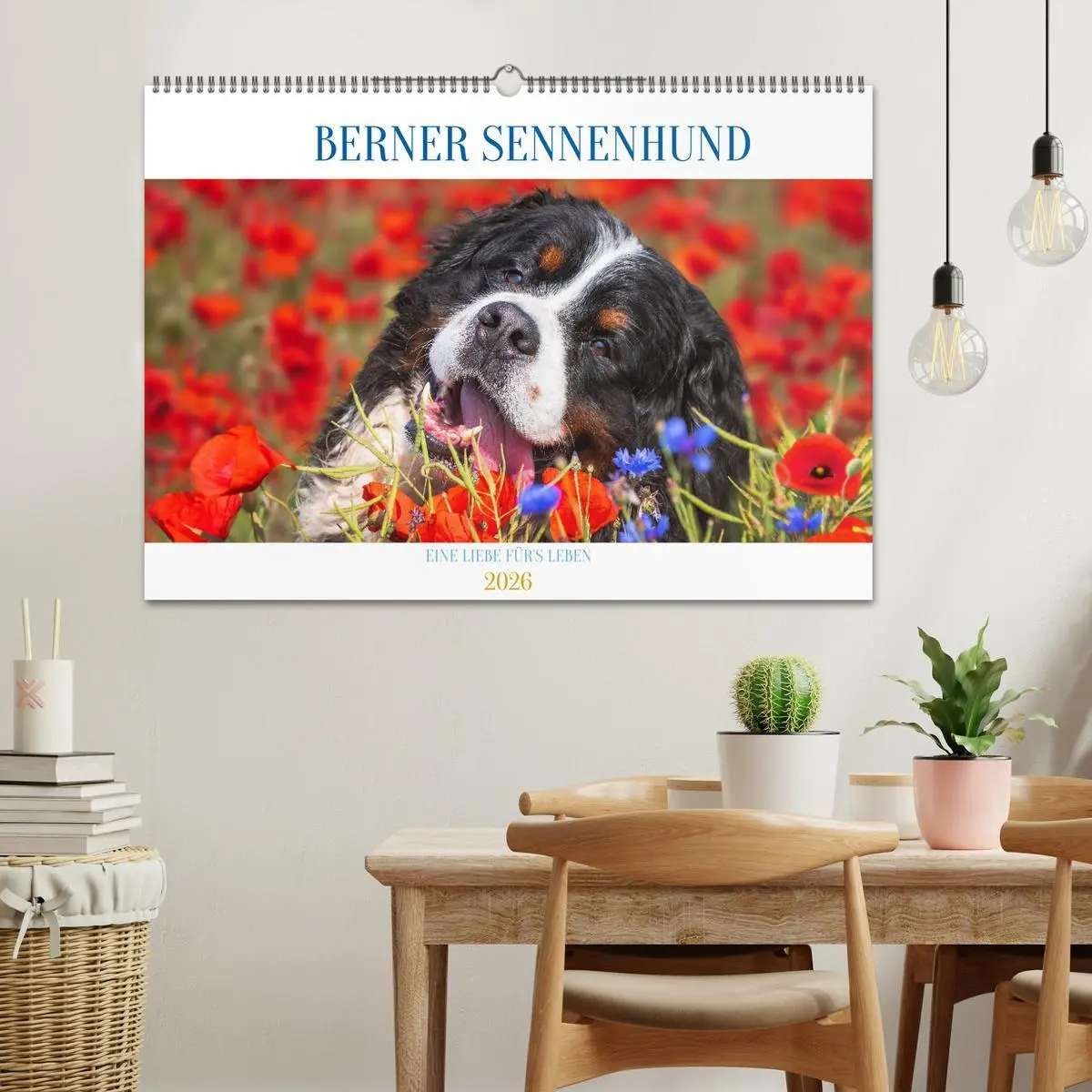 Bild: 9783457548165 | Berner Sennenhund - Eine Liebe für´s Leben (Wandkalender 2026 DIN...