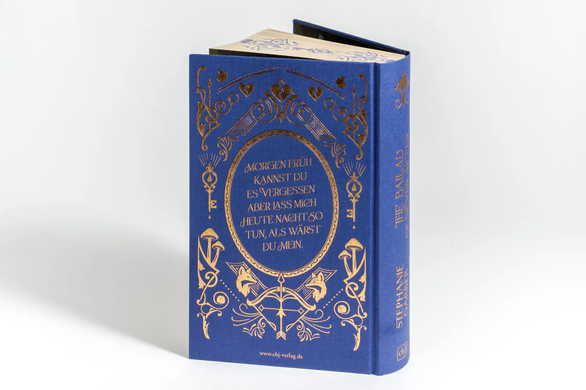 Bild: 9783570168165 | The Ballad of Never After | Stephanie Garber | Buch | 480 S. | Deutsch