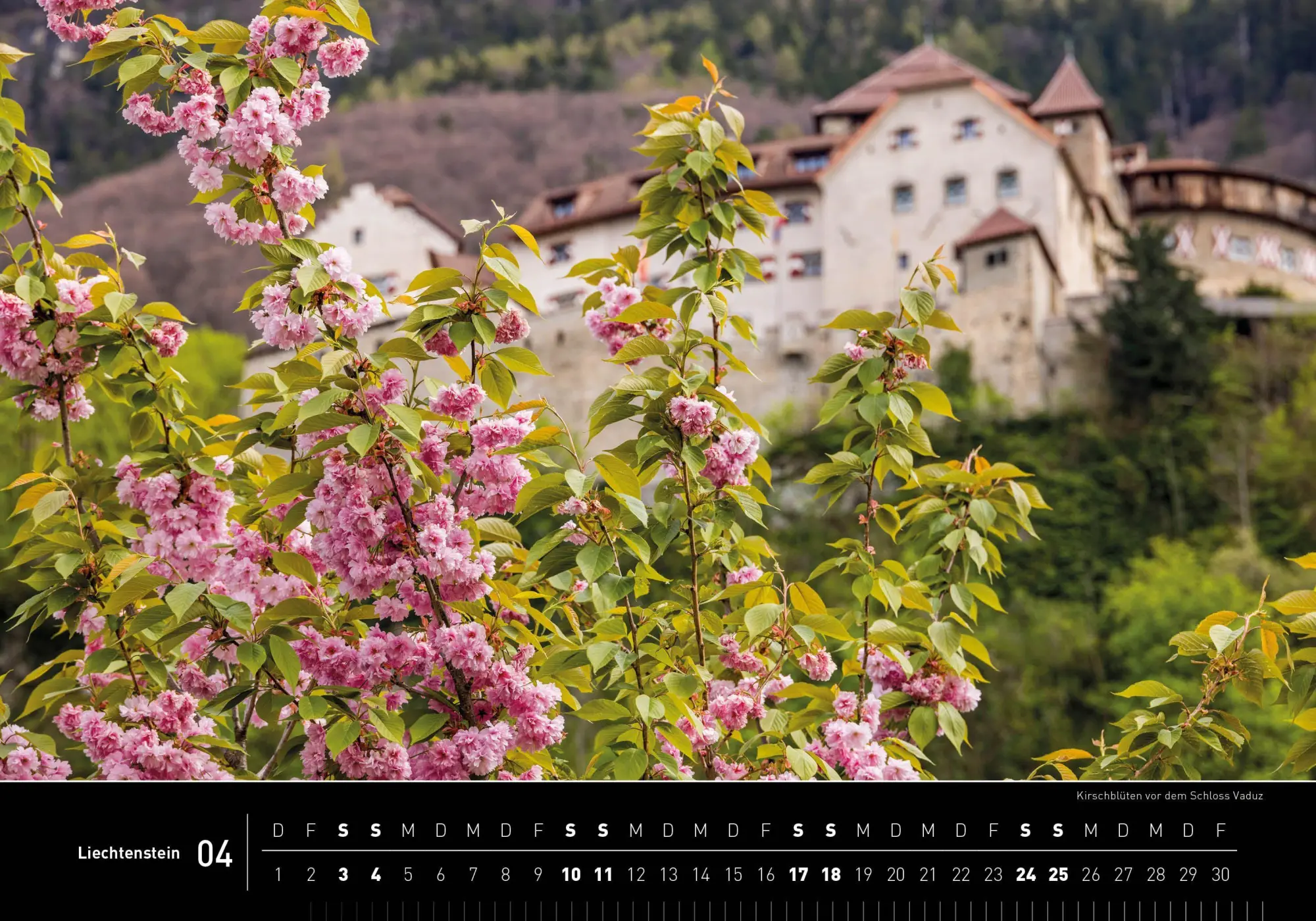 Bild: 9783968558165 | Liechtenstein Premiumkalender 2027 | Paul Trummer | Kalender | 14 S.