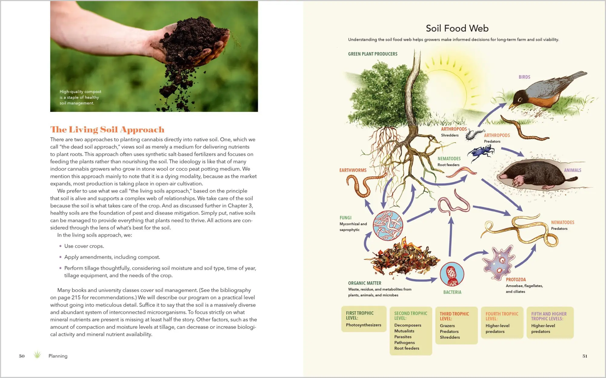 Bild: 9781635868265 | Cannabis Farming | Adam Davidoff (u. a.) | Taschenbuch | Englisch