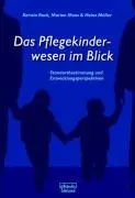 Cover: 9783871598265 | Das Pflegekinderwesen im Blick | Kerstin Rock (u. a.) | Taschenbuch