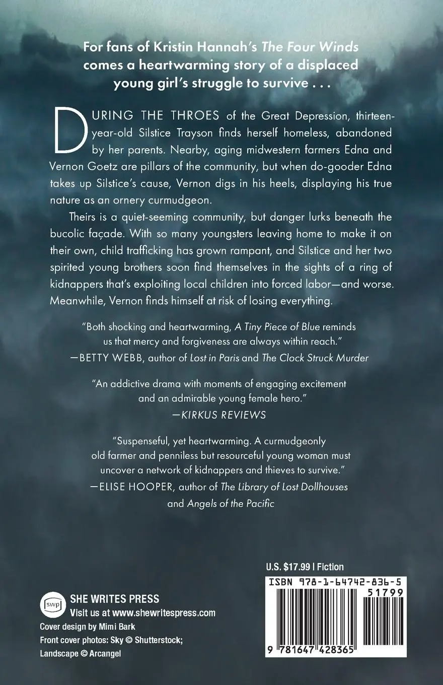 Rückseite: 9781647428365 | Tiny Piece of Blue | Charlotte Whitney | Taschenbuch | Englisch | 2025