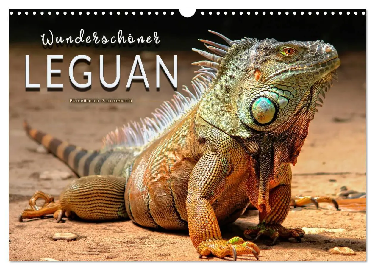 Cover: 9783457838365 | Wunderschöner Leguan (Wandkalender 2026 DIN A3 quer), CALVENDO... Cover: 9783457838365 | Wunderschöner Leguan (Wandkalender 2026 DIN A3 quer), CALVENDO...