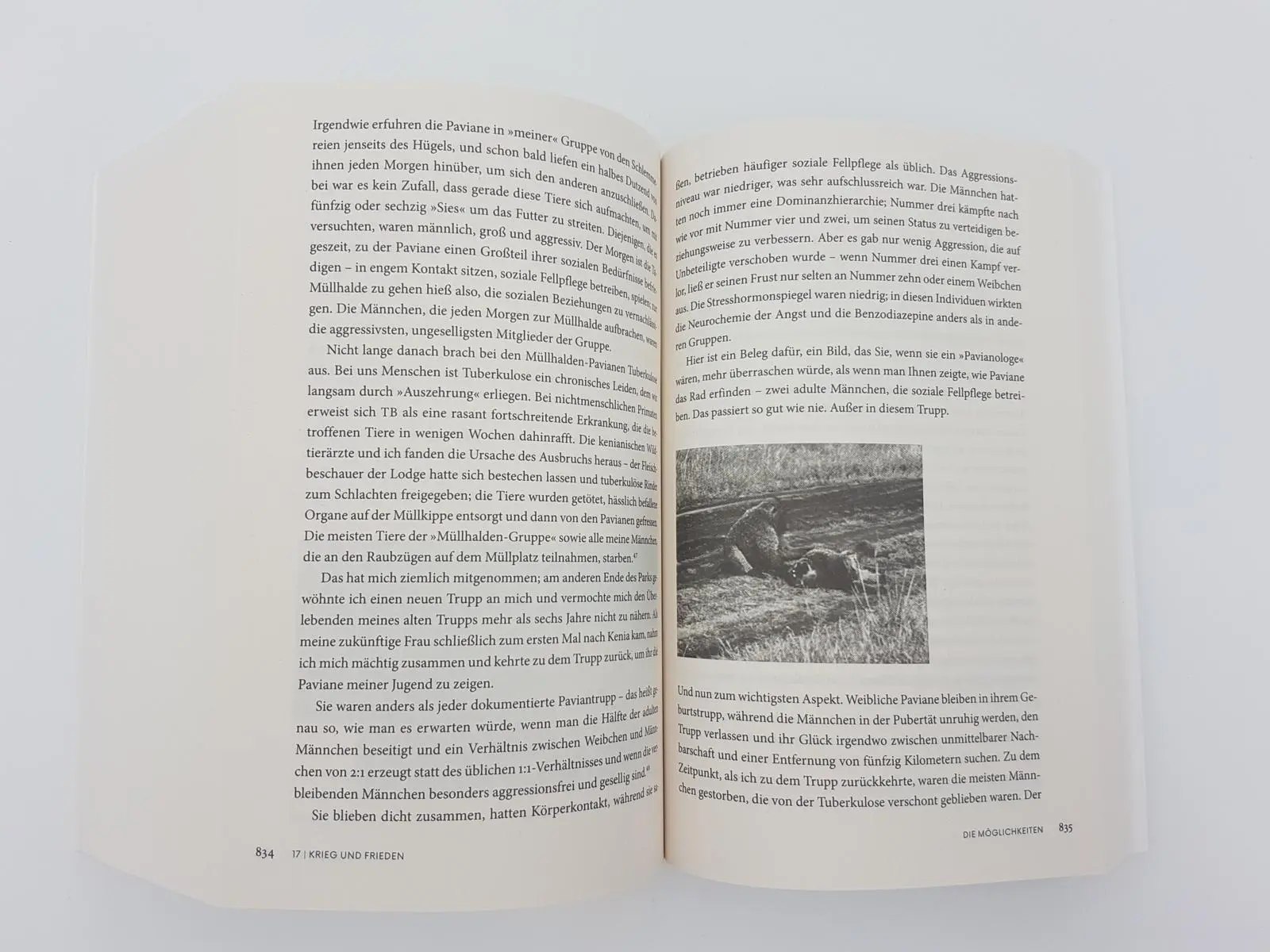 Bild: 9783492318365 | Gewalt und Mitgefühl | Robert Sapolsky | Taschenbuch | 1022 S. | 2021