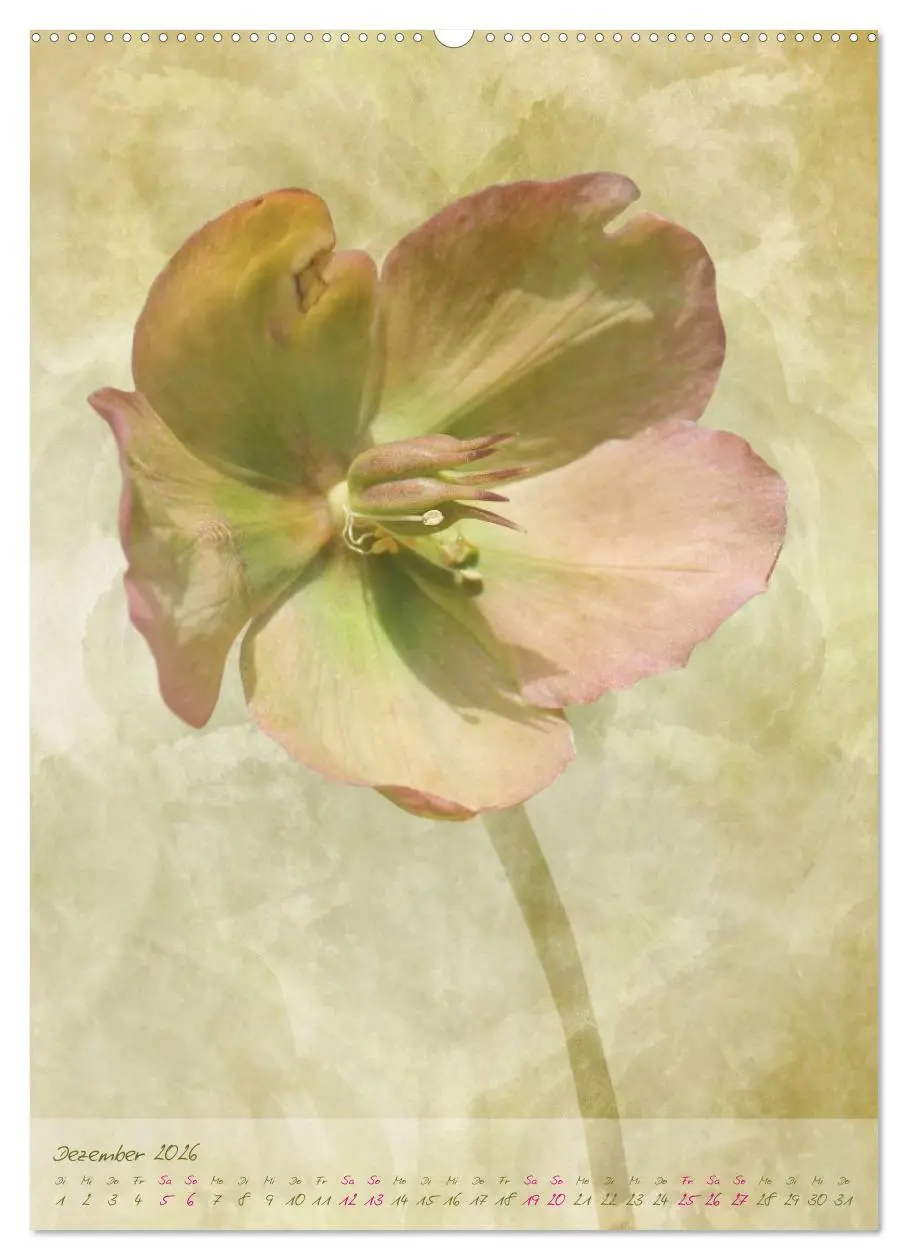 Bild: 9783516478365 | Vintage Flowers (Wandkalender 2026 DIN A2 hoch), CALVENDO...