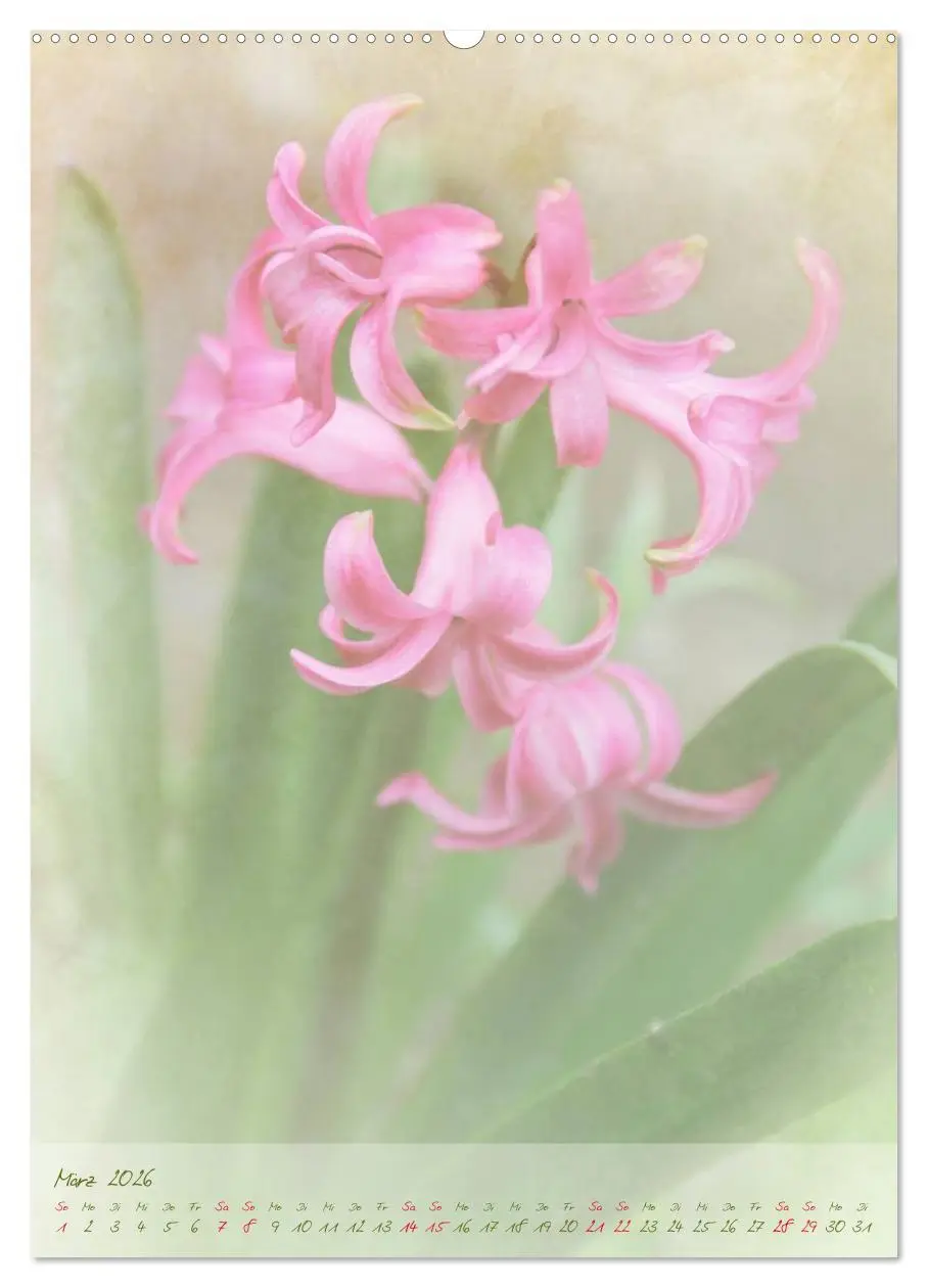 Bild: 9783516478365 | Vintage Flowers (Wandkalender 2026 DIN A2 hoch), CALVENDO...