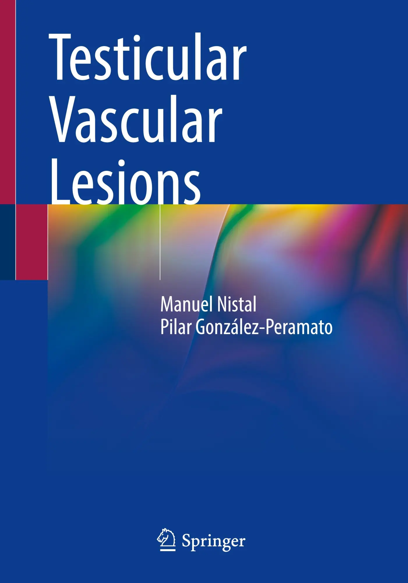 Cover: 9783031578465 | Testicular Vascular Lesions | Manuel Nistal (u. a.) | Taschenbuch