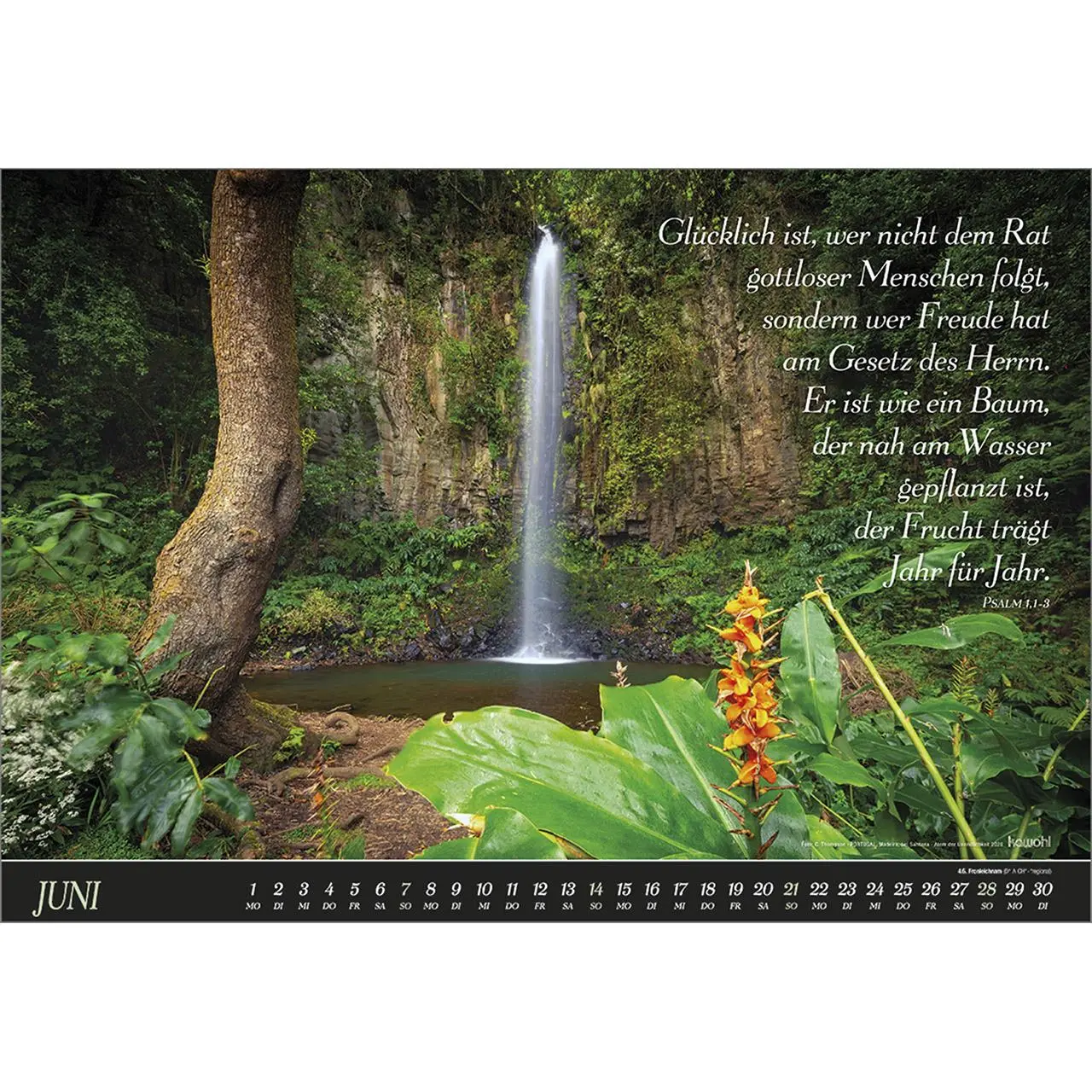 Bild: 9783754828465 | Atem der Unendlichkeit 2026 | Panorama-Kalender | Kalender | 14 S.