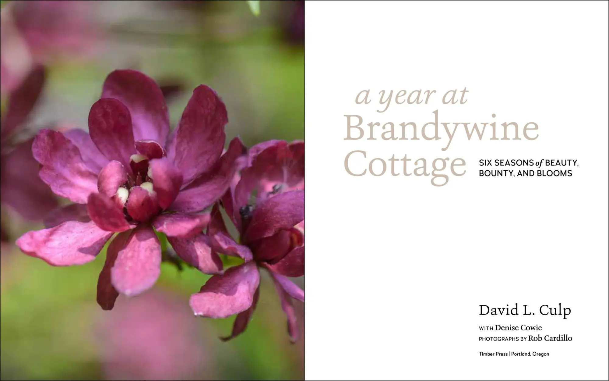 Bild: 9781604698565 | A Year at Brandywine Cottage | David L Culp | Buch | Gebunden | 2020