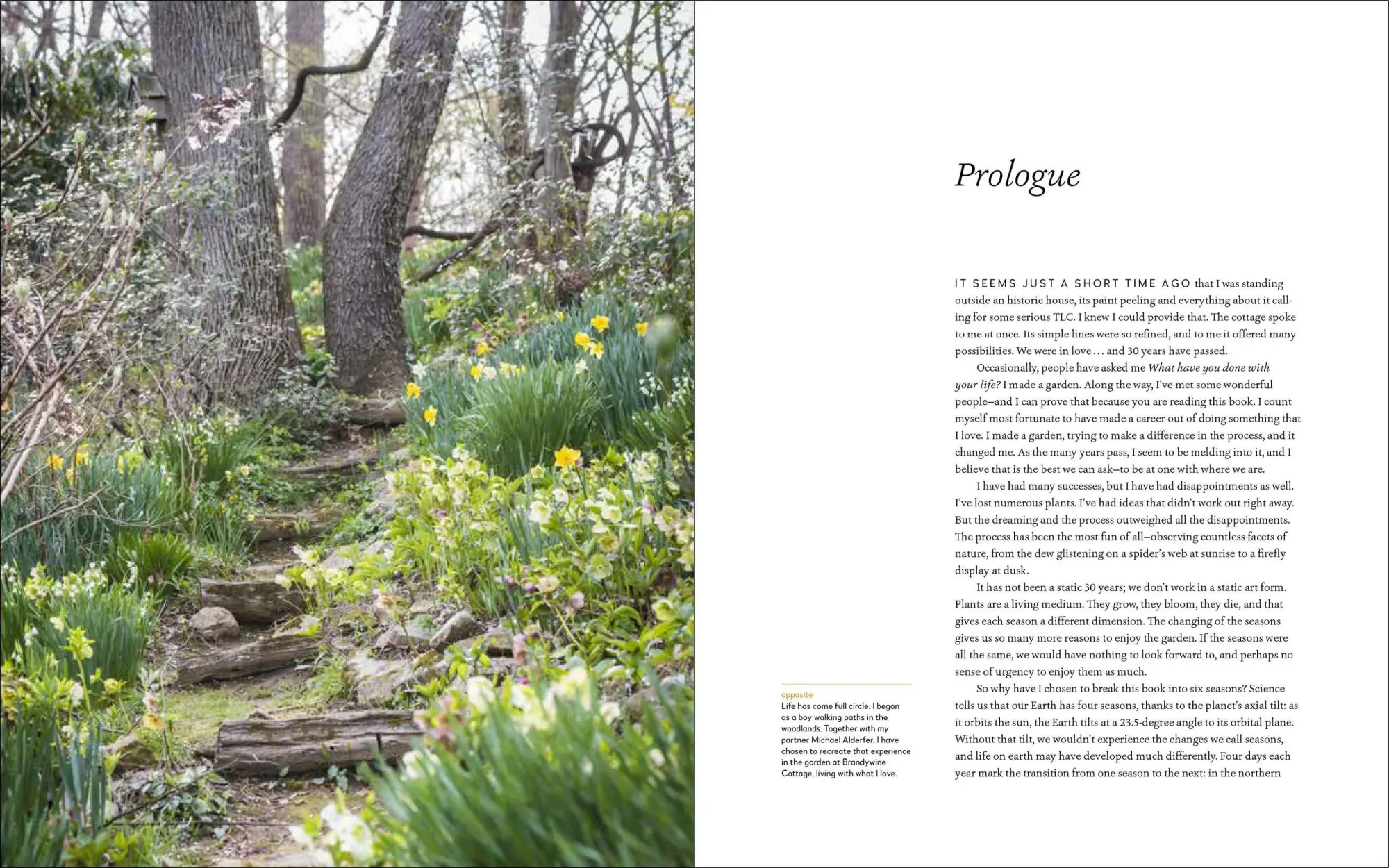 Bild: 9781604698565 | A Year at Brandywine Cottage | David L Culp | Buch | Gebunden | 2020