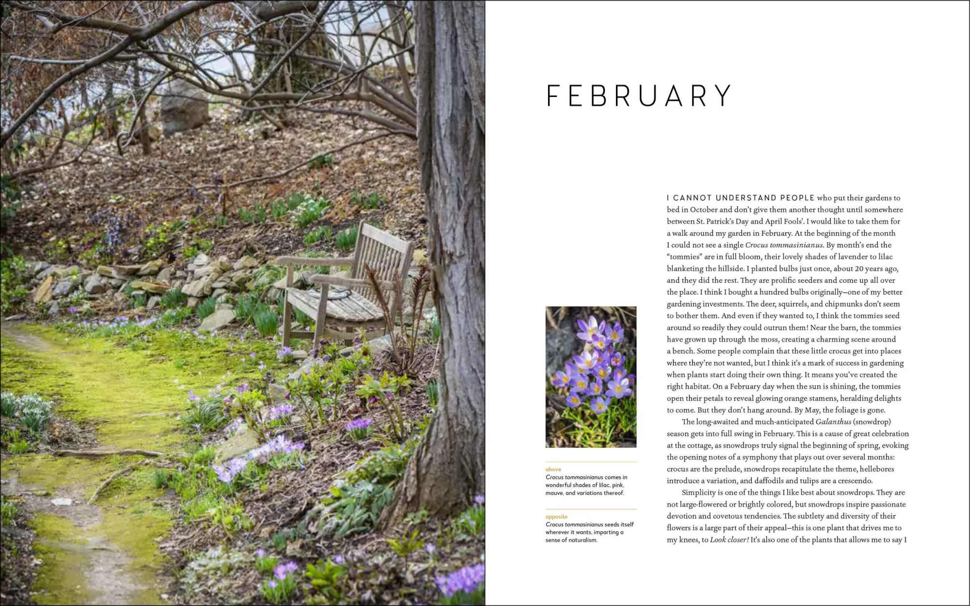 Bild: 9781604698565 | A Year at Brandywine Cottage | David L Culp | Buch | Gebunden | 2020