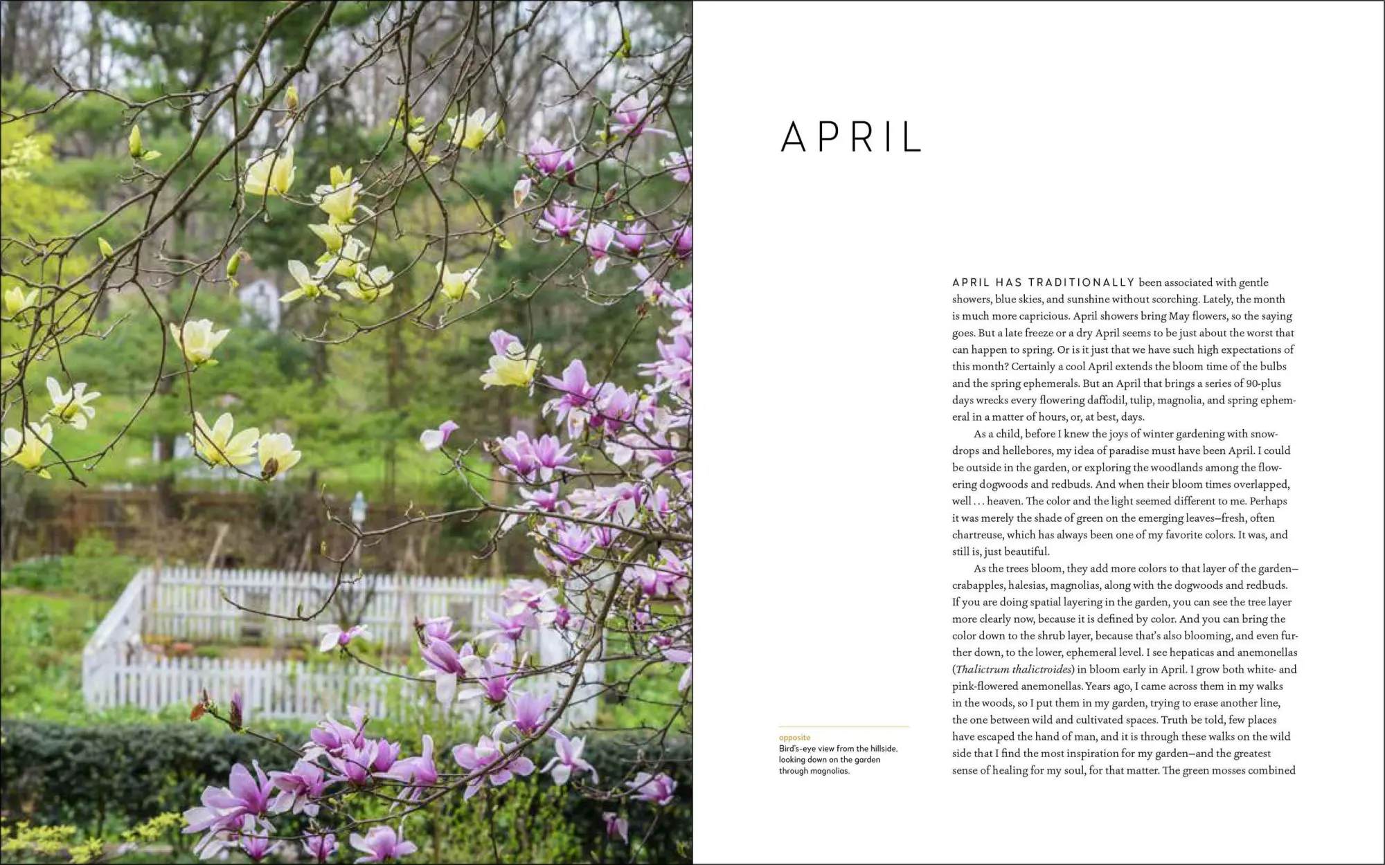 Bild: 9781604698565 | A Year at Brandywine Cottage | David L Culp | Buch | Gebunden | 2020