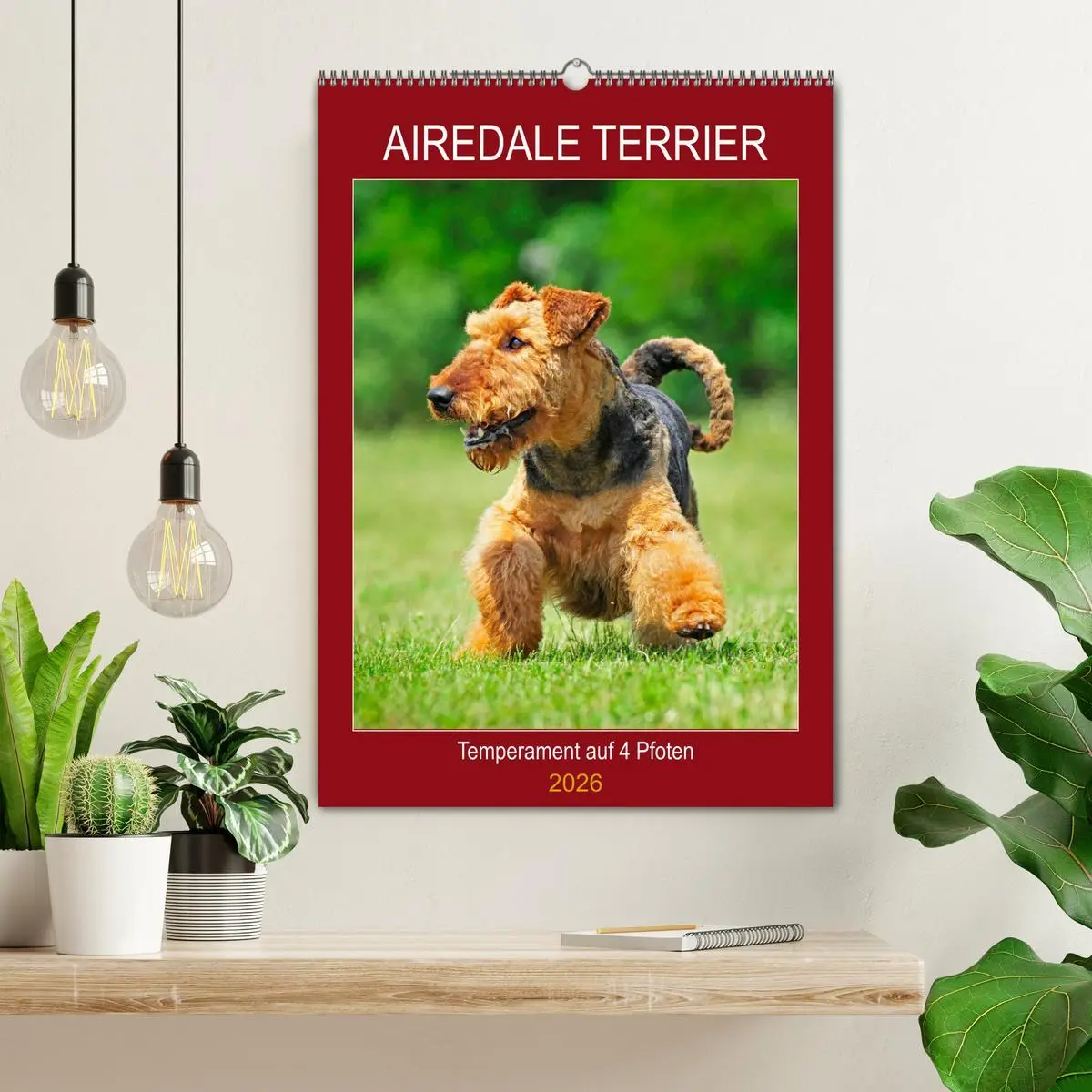 Bild: 9783516388565 | Airedale Terrier - Temperament auf 4 Pfoten (Wandkalender 2026 DIN...