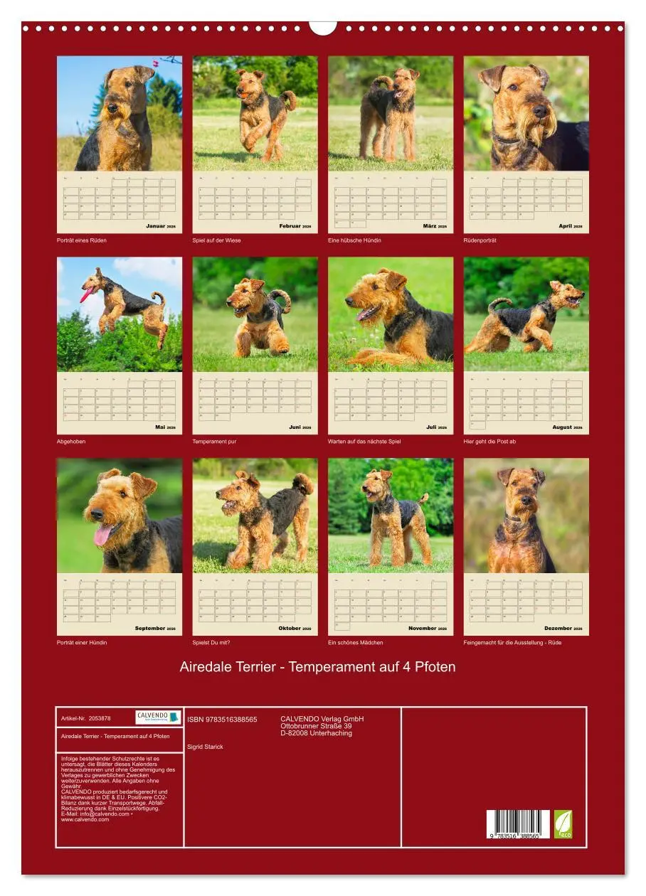 Bild: 9783516388565 | Airedale Terrier - Temperament auf 4 Pfoten (Wandkalender 2026 DIN...