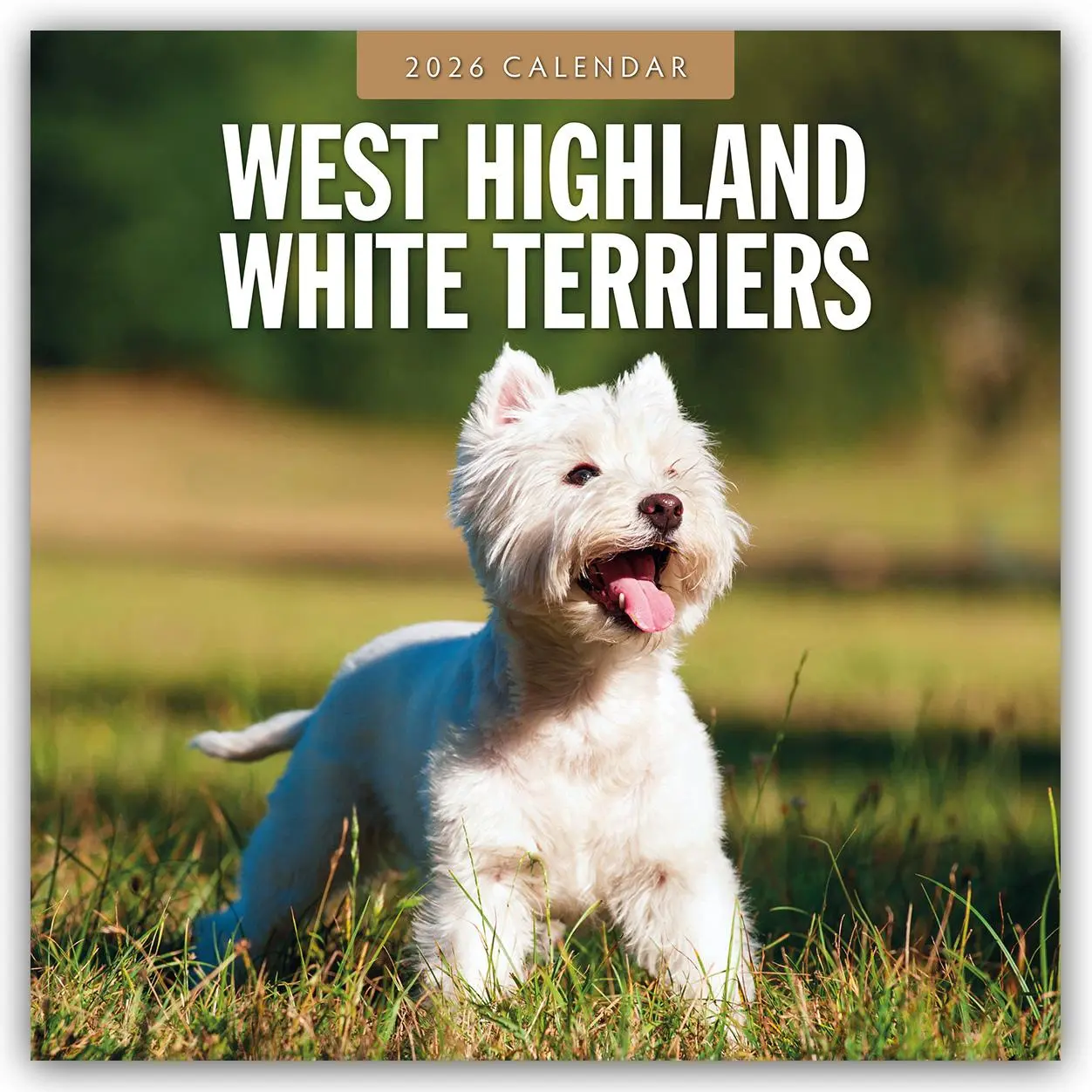Cover: 9781804428665 | West Highland White Terriers - West Highland White Terrier - Westie...
