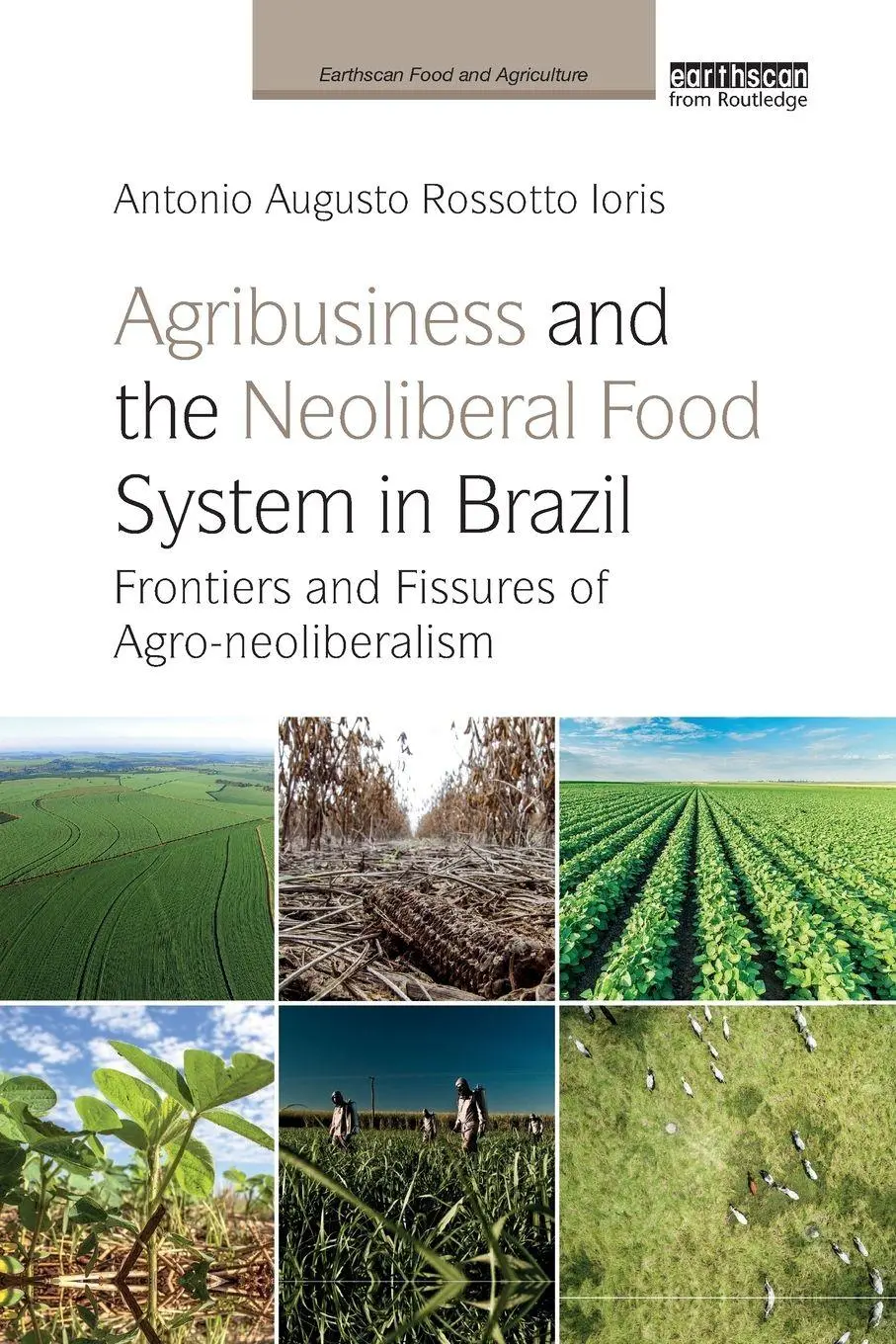 Cover: 9780367248765 | Agribusiness and the Neoliberal Food System in Brazil | Ioris | Buch