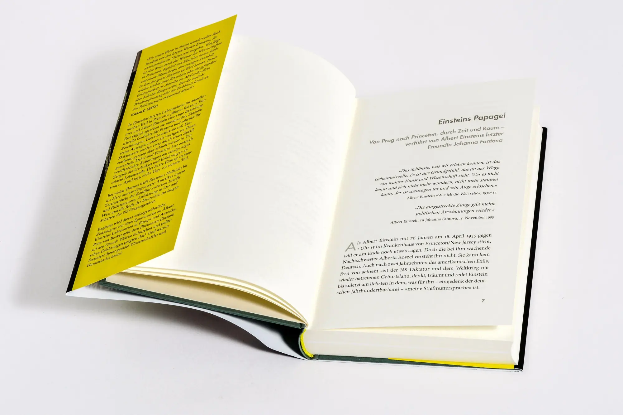 Bild: 9783453218765 | 'Ich bin ein Magnet für alle Verrückten' | Peter von Becker | Buch