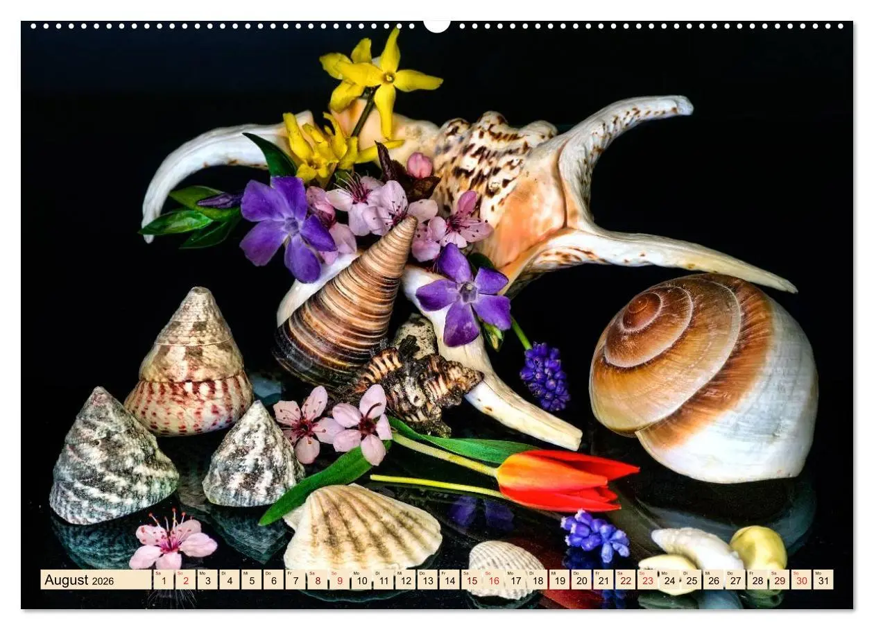 Bild: 9783457968765 | Stillleben - aber mit Stil (Wandkalender 2026 DIN A2 quer),...
