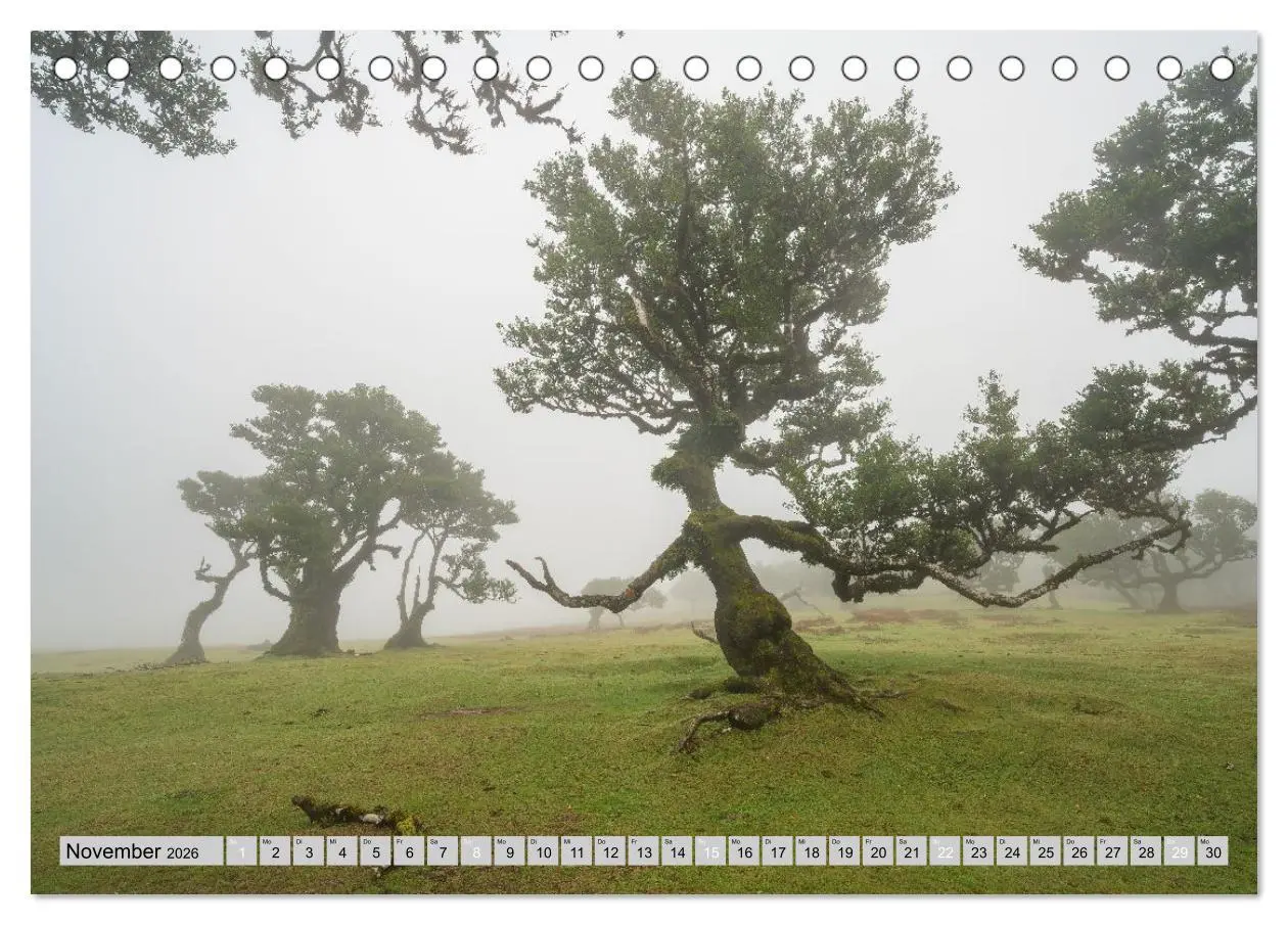 Bild: 9783516508765 | Wunderschönes Madeira (Tischkalender 2026 DIN A5 quer), CALVENDO...