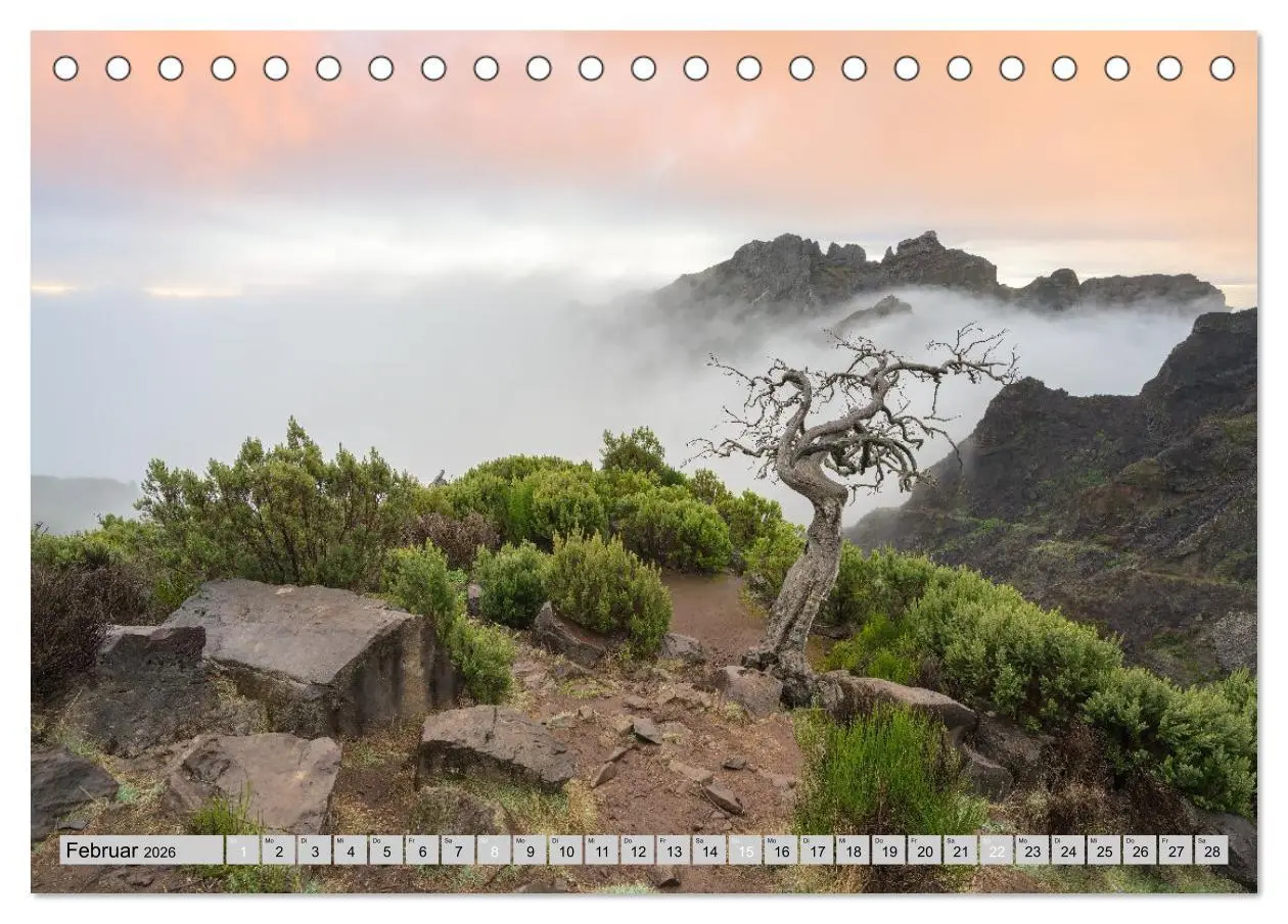 Bild: 9783516508765 | Wunderschönes Madeira (Tischkalender 2026 DIN A5 quer), CALVENDO...