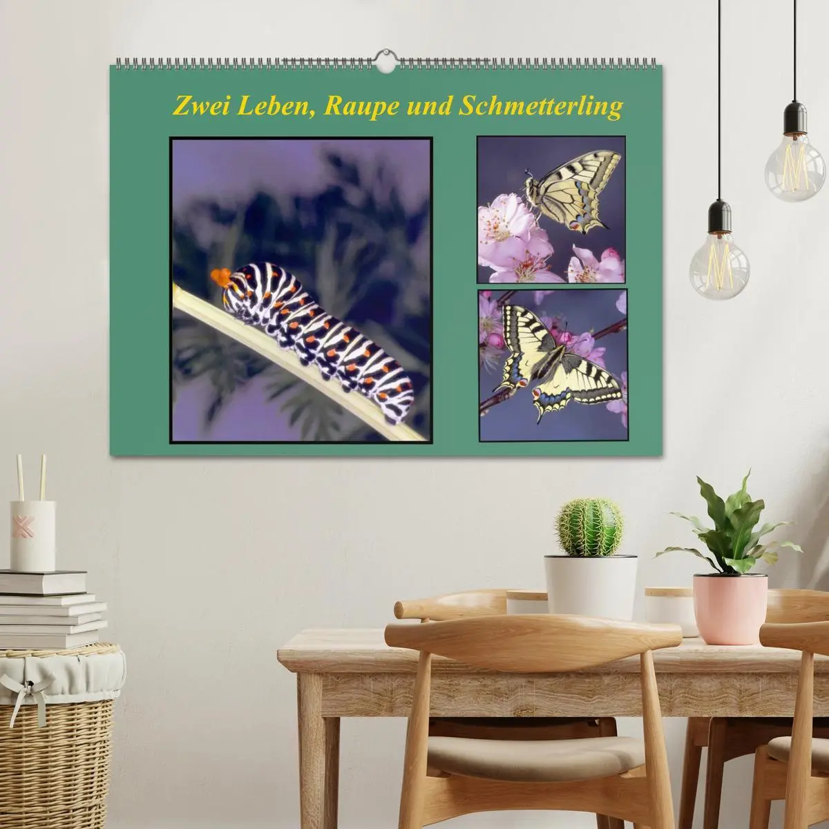 Bild: 9783457958865 | Zwei Leben, Raupe und Schmetterling (Wandkalender 2026 DIN A2...