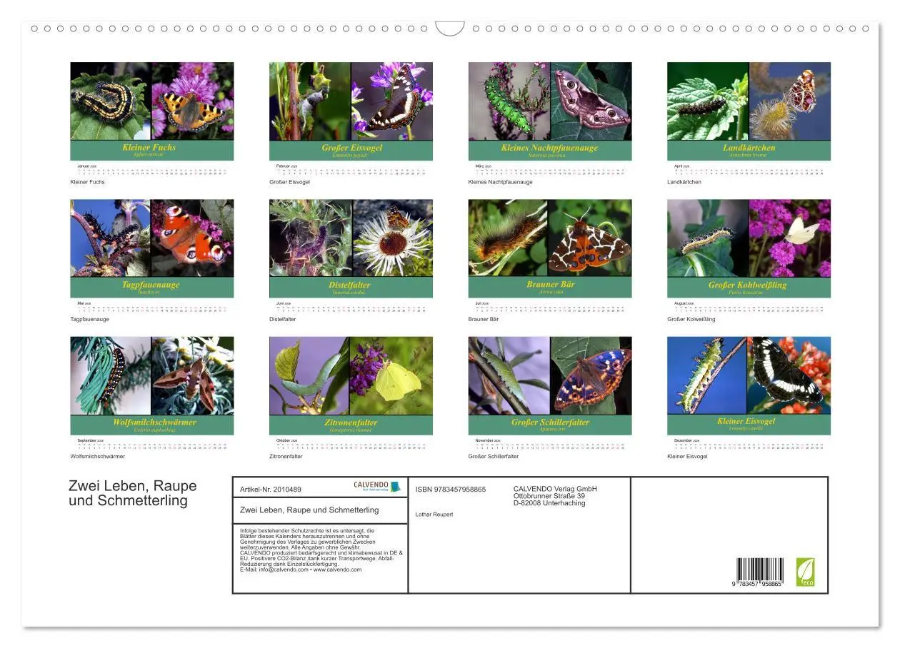 Bild: 9783457958865 | Zwei Leben, Raupe und Schmetterling (Wandkalender 2026 DIN A2...