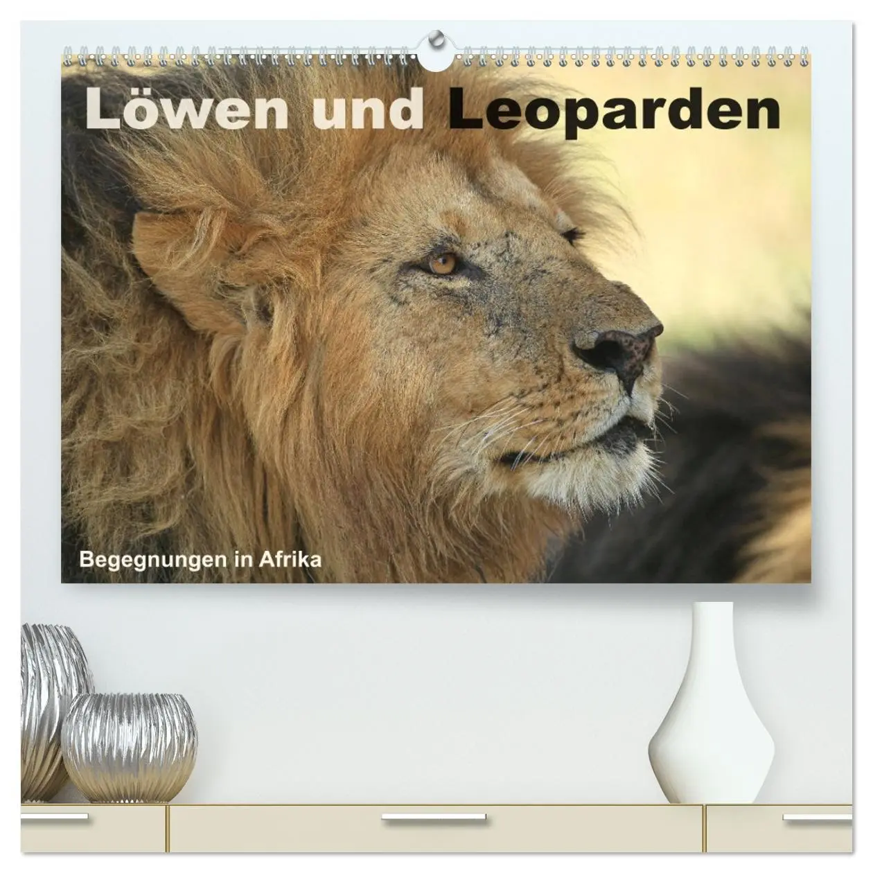 Cover: 9783516048865 | Löwen und Leoparden - Begegnungen in Afrika (hochwertiger Premium...
