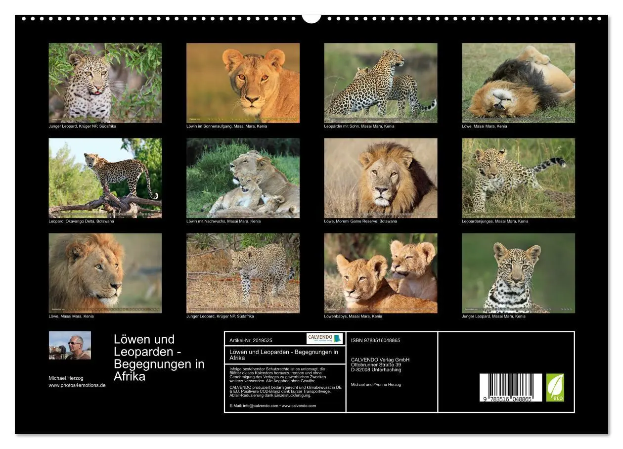 Bild: 9783516048865 | Löwen und Leoparden - Begegnungen in Afrika (hochwertiger Premium...