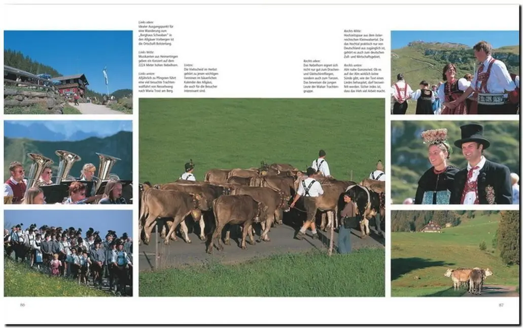 Bild: 9783800318865 | Horizont Bayern | Ernst-Otto Luthardt | Buch | 156 S. | Deutsch | 2008