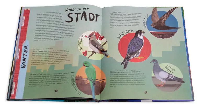 Bild: 9783401718965 | Erlebe die Vögel | Dara McAnulty | Buch | 64 S. | Deutsch | 2023
