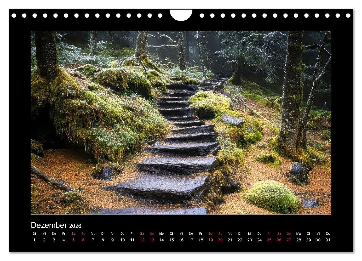 Bild: 9783457258965 | Geheimnisvolle Wege (Wandkalender 2026 DIN A4 quer), CALVENDO...