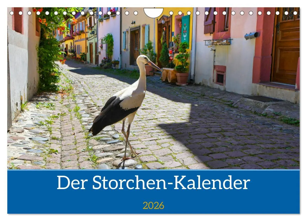 Cover: 9783457568965 | Der Storchenkalender (Wandkalender 2026 DIN A4 quer), CALVENDO...