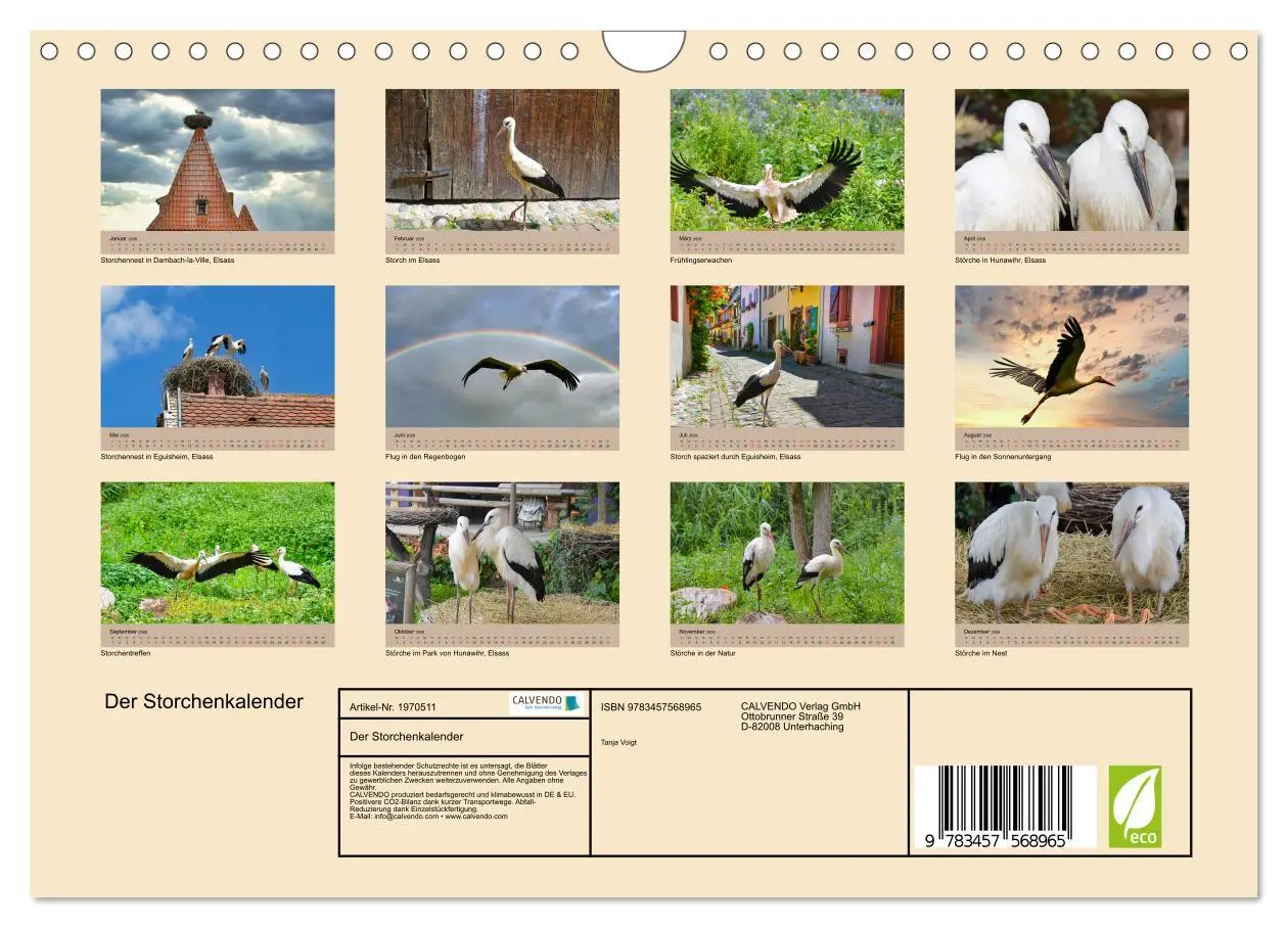Bild: 9783457568965 | Der Storchenkalender (Wandkalender 2026 DIN A4 quer), CALVENDO...