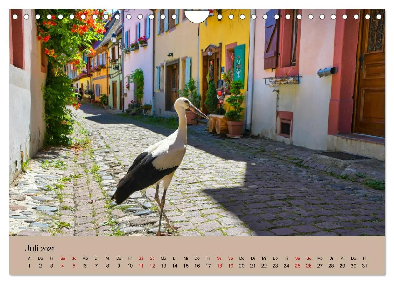Bild: 9783457568965 | Der Storchenkalender (Wandkalender 2026 DIN A4 quer), CALVENDO...
