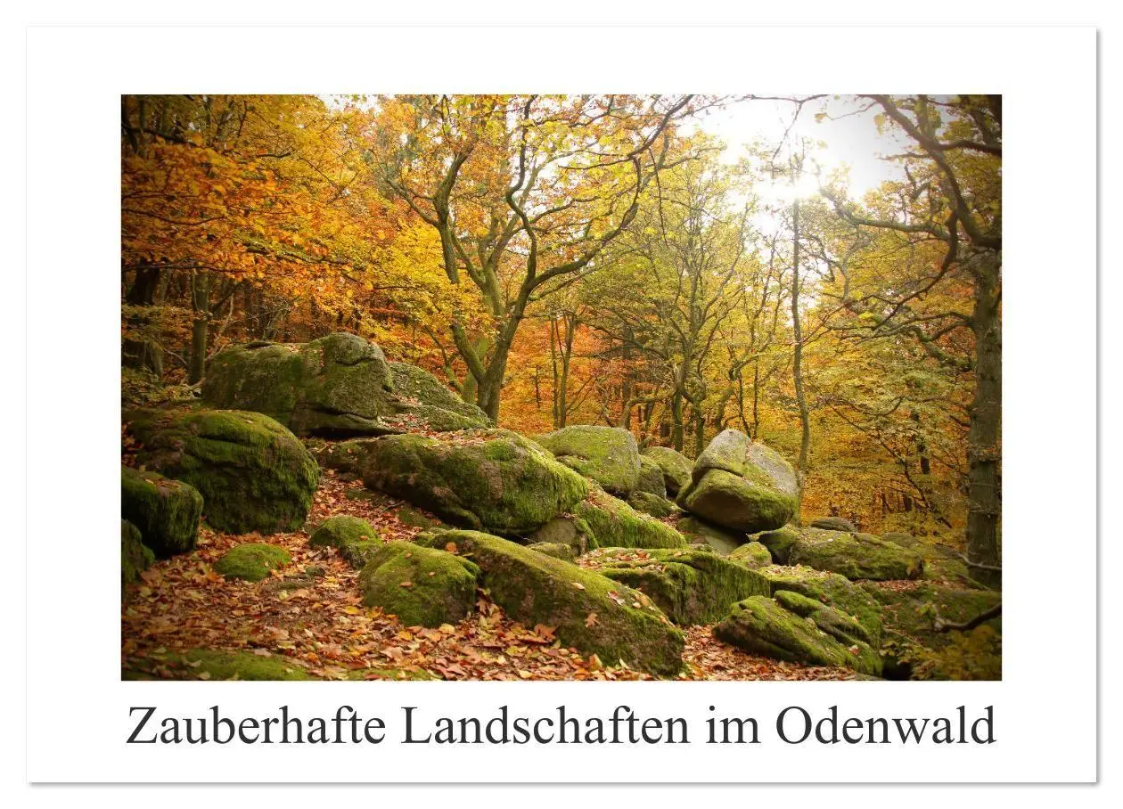 Cover: 9783457878965 | Zauberhafte Landschaften im Odenwald (Wandkalender 2026 DIN A3...