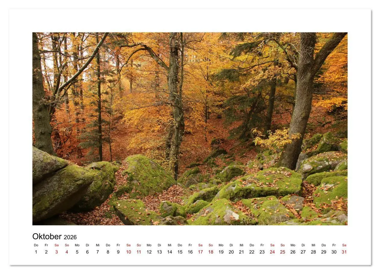 Bild: 9783457878965 | Zauberhafte Landschaften im Odenwald (Wandkalender 2026 DIN A3...