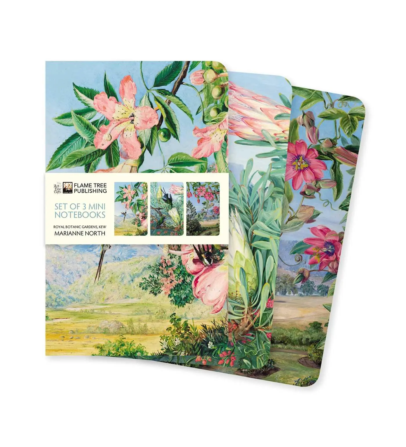Cover: 9781787559165 | Kew Gardens' Marianne North Set of 3 Mini Notebooks | Publishing