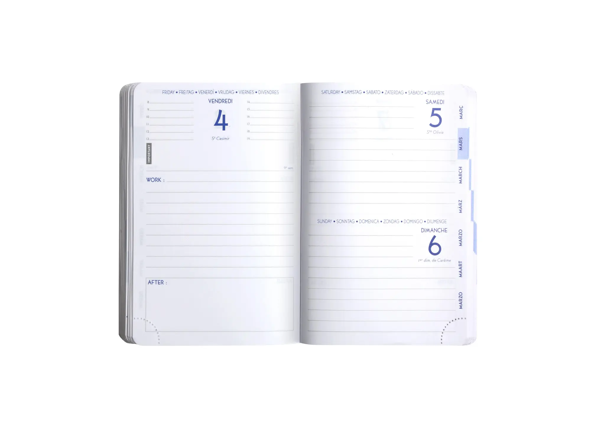 Bild: 3660942089265 | Schülerkalender Work &amp; After Joy 2026 / 2027 | Quo Vadis | Buch | 2027