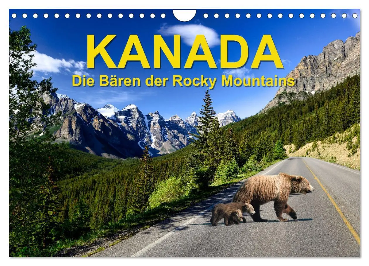 Cover: 9783457369265 | KANADA - Die Bären der Rocky Mountains (Wandkalender 2026 DIN A4...