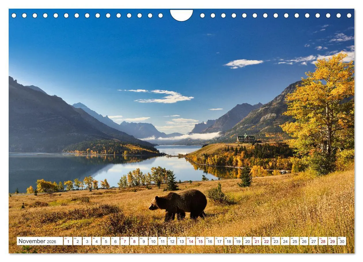 Bild: 9783457369265 | KANADA - Die Bären der Rocky Mountains (Wandkalender 2026 DIN A4...