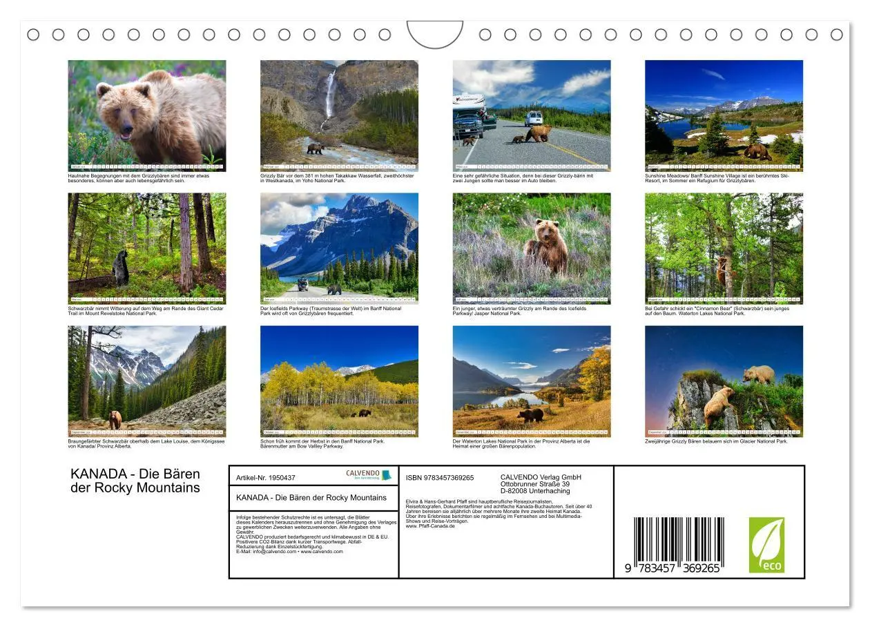 Bild: 9783457369265 | KANADA - Die Bären der Rocky Mountains (Wandkalender 2026 DIN A4...